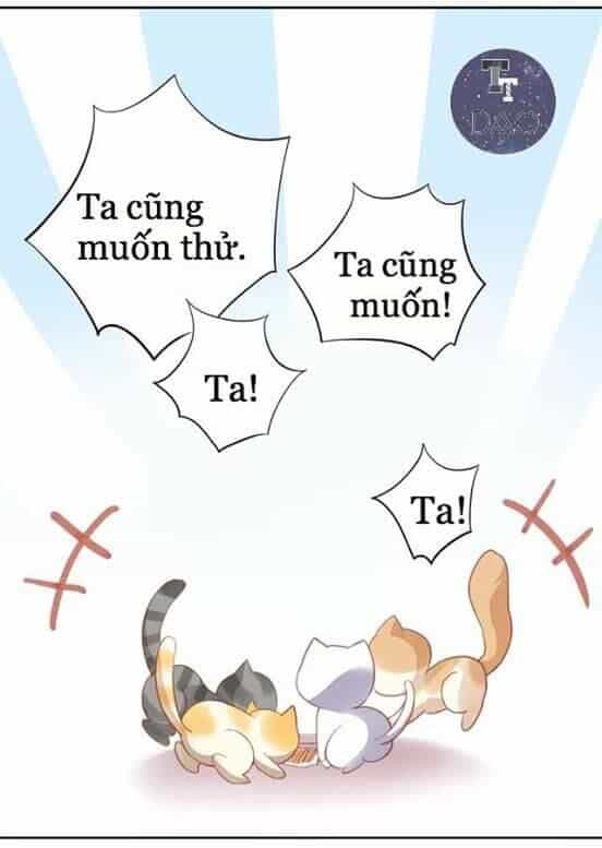 Dưới Móng Vuốt Mèo - Chương 6 - ảnh 48