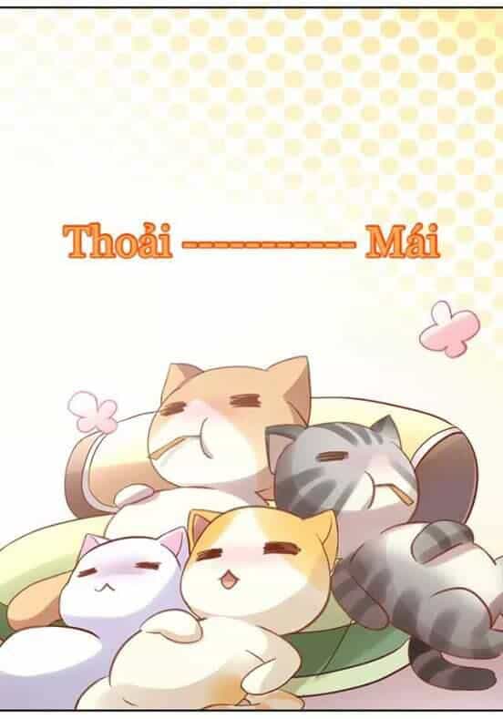 Dưới Móng Vuốt Mèo - Chương 6 - ảnh 50