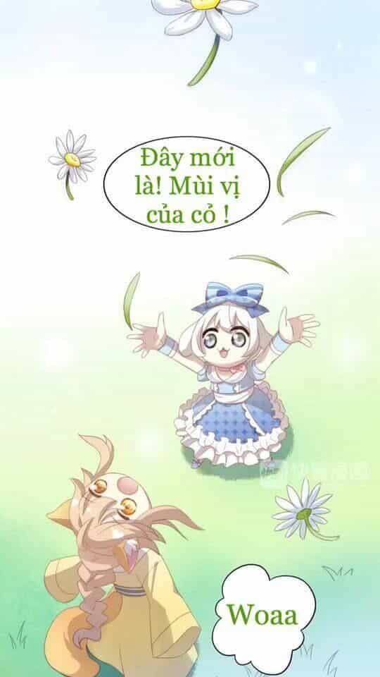 Dưới Móng Vuốt Mèo - Chương 7 - ảnh 41