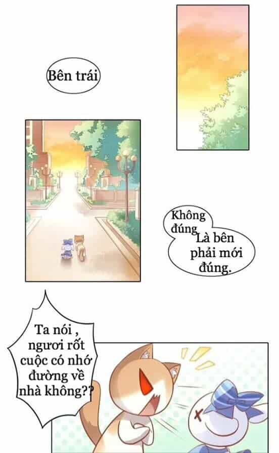 Dưới Móng Vuốt Mèo - Chương 8 - ảnh 2
