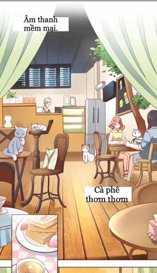 Dưới Móng Vuốt Mèo - Chương 8 - ảnh 21