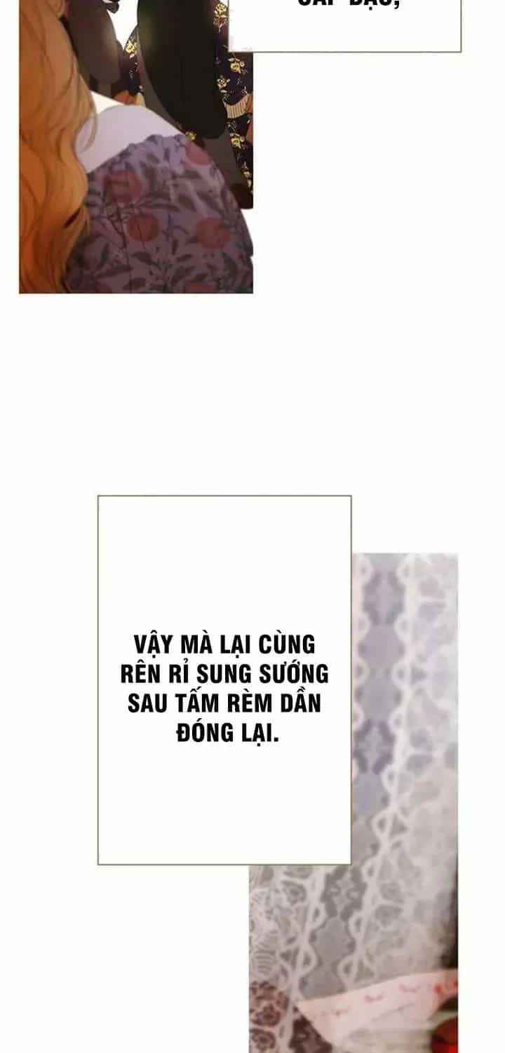Dưới Rừng Chanh Vàng - Chương 12 - ảnh 36