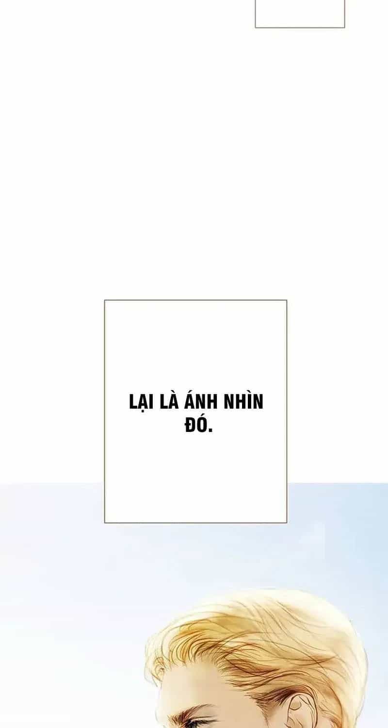 Dưới Rừng Chanh Vàng - Chương 9 - ảnh 32