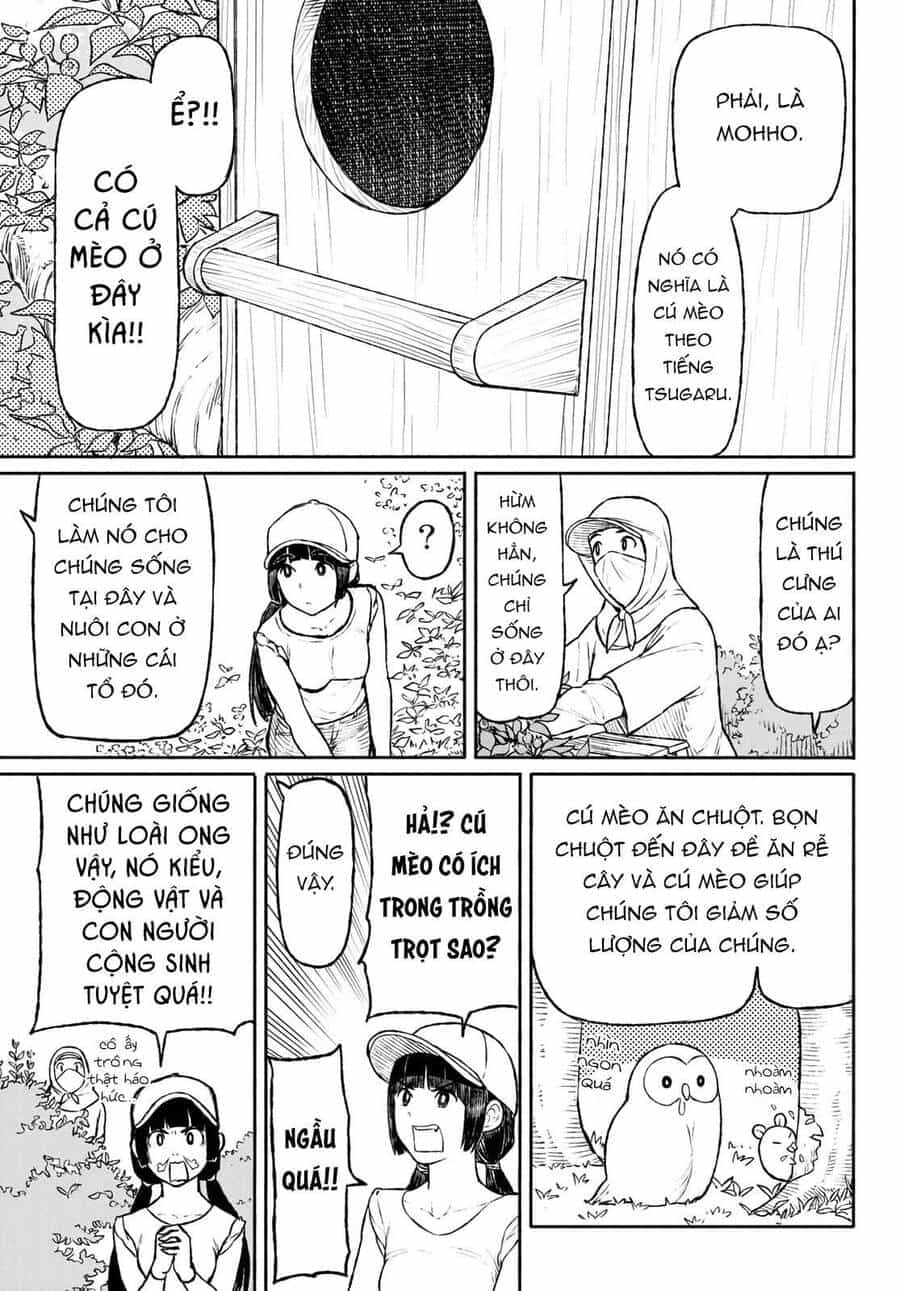 Flying Witch - Chương 47 - ảnh 5