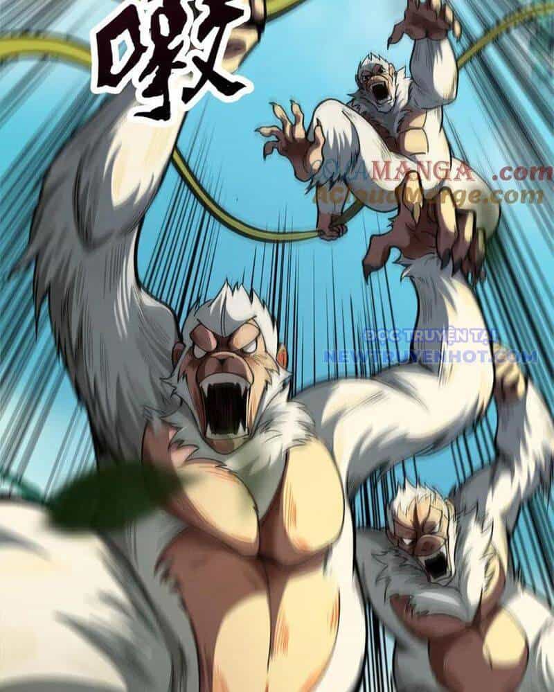 Gặp Mạnh Thì Càng Mạnh, Tu Vi Của Ta Không Giới Hạn - Chương 16 - ảnh 69