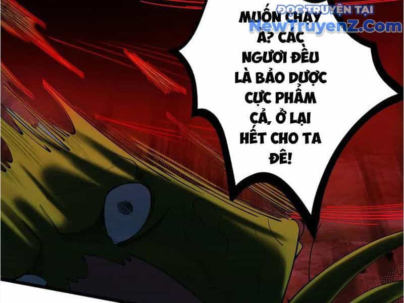 Gặp Mạnh Thì Càng Mạnh, Tu Vi Của Ta Không Giới Hạn - Chương 48 - ảnh 14