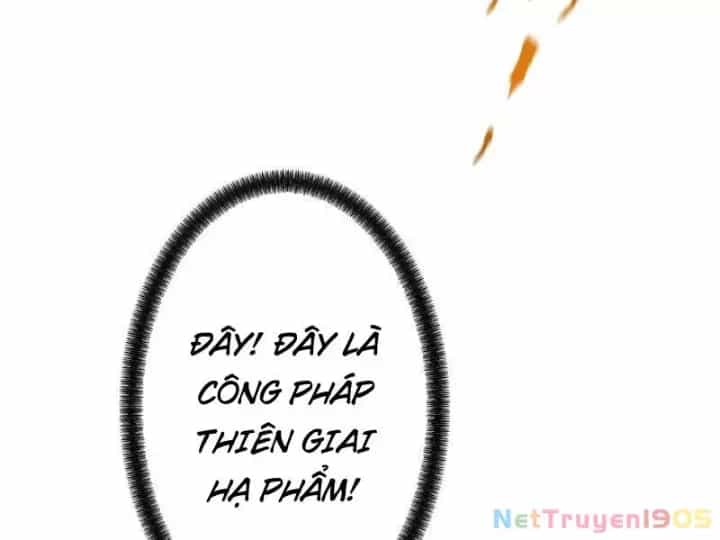 Gặp Mạnh Thì Càng Mạnh, Tu Vi Của Ta Không Giới Hạn - Chương 82 - ảnh 74