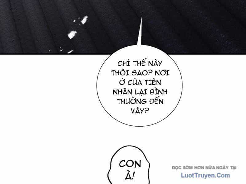 Gặp Mạnh Thì Càng Mạnh, Tu Vi Của Ta Không Giới Hạn - Chương 90 - ảnh 100