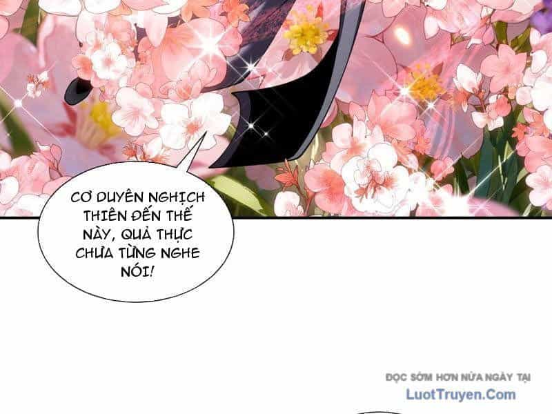 Gặp Mạnh Thì Càng Mạnh, Tu Vi Của Ta Không Giới Hạn - Chương 90 - ảnh 90