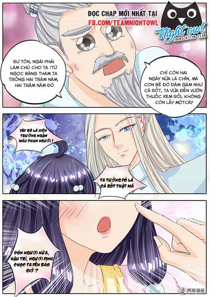 Gia Huynh Ở Lại Tìm Đường Chết - Chương 13 - ảnh 19