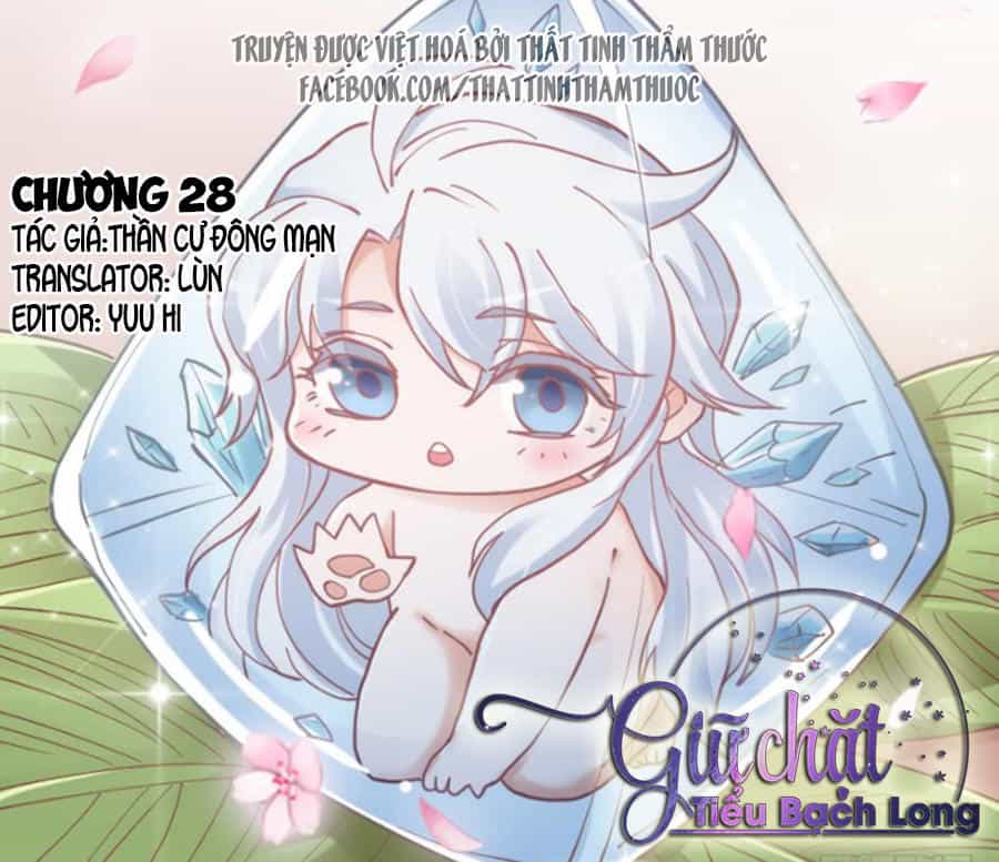 Giữ Chặt Tiểu Bạch Long - Chương 28 - ảnh 2