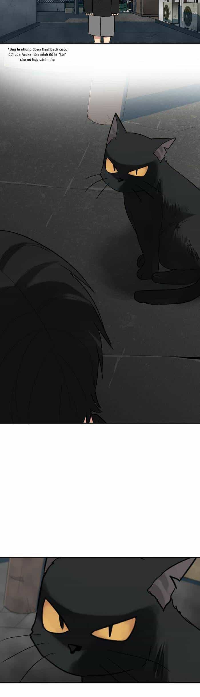 Good/Bad Fortune - Chương 76 - ảnh 11