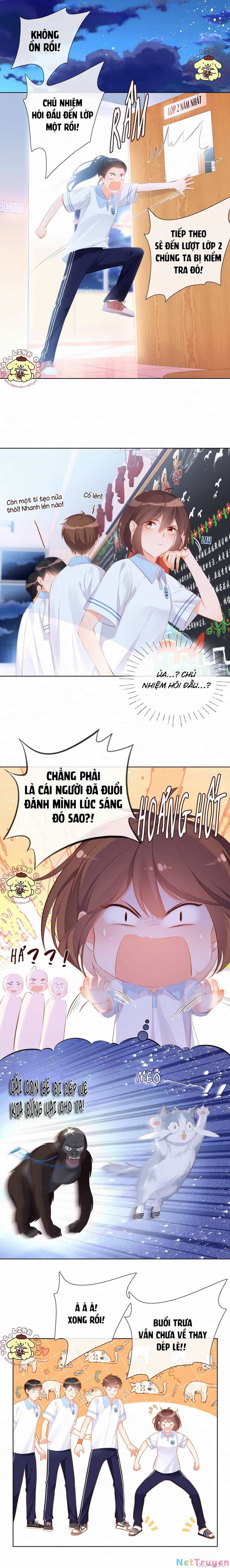 Gửi Em, Người Đặc Biệt - Chương 8 - ảnh 3