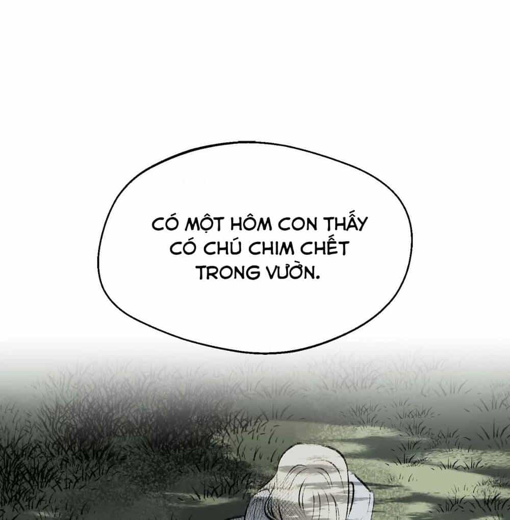 Gửi Lời Chúc Phúc Của Melt Tới Người - Chương 40 - ảnh 14