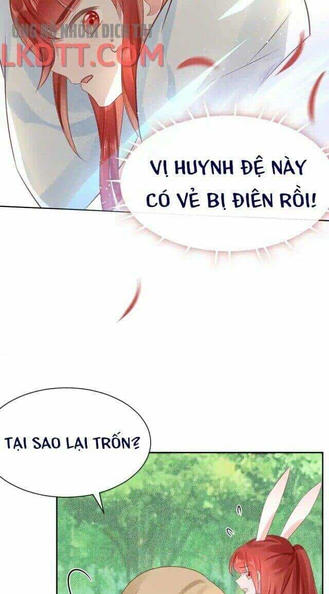 Hắc Hóa Nam Chính Trực Tuyến Nuôi Thỏ - Chương 24 - ảnh 13