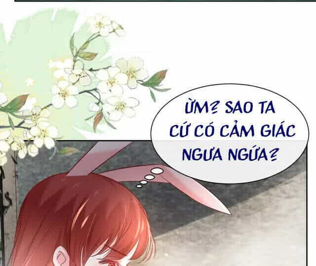 Hắc Hóa Nam Chính Trực Tuyến Nuôi Thỏ - Chương 31 - ảnh 27