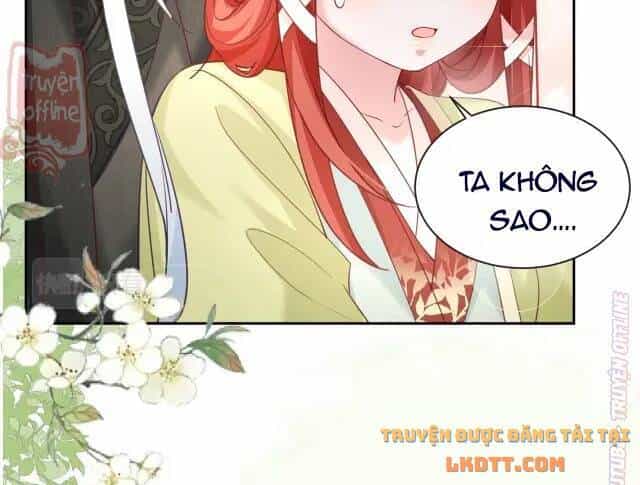 Hắc Hóa Nam Chính Trực Tuyến Nuôi Thỏ - Chương 49 - ảnh 11