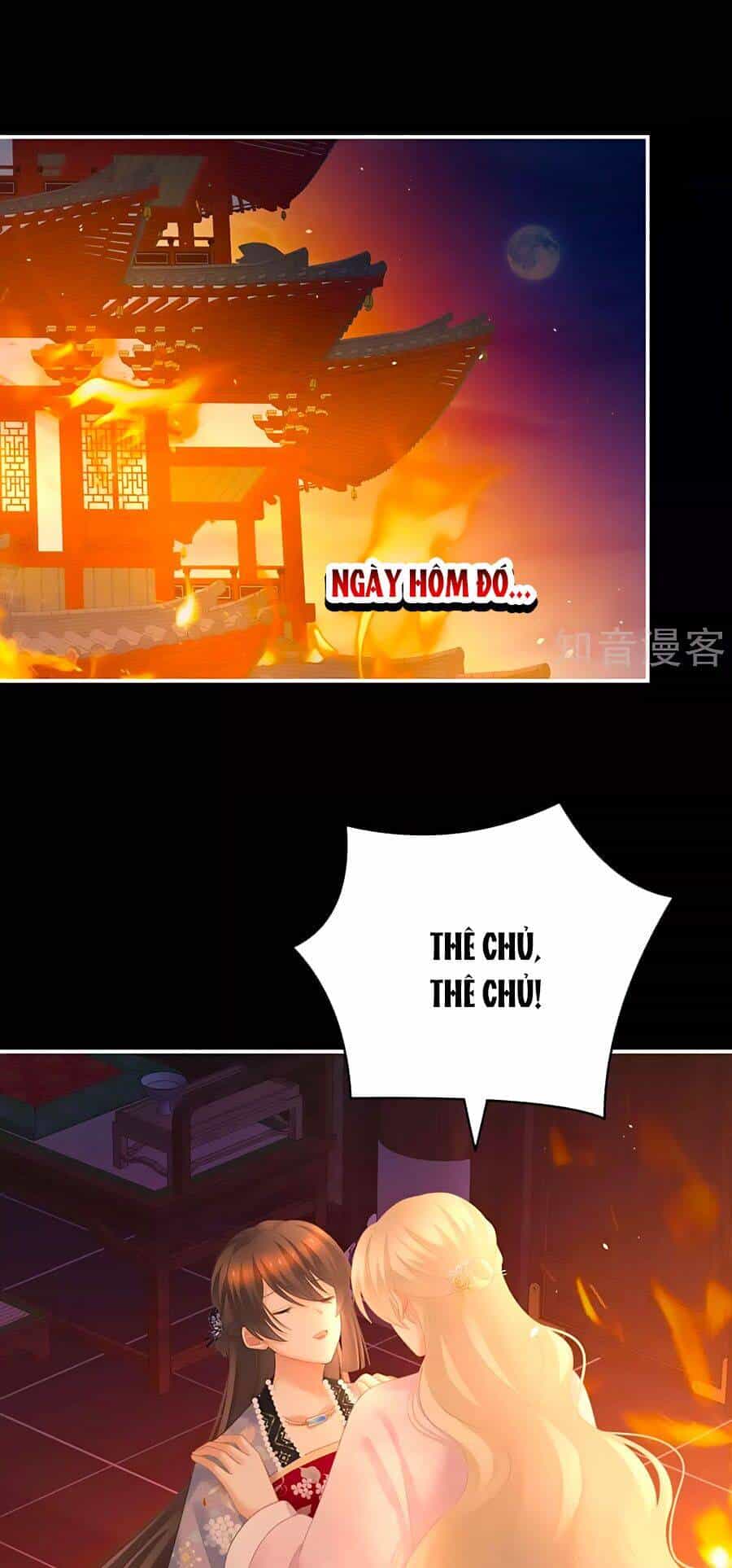 Hậu Cung Của Nữ Đế - Chương 223 - ảnh 1