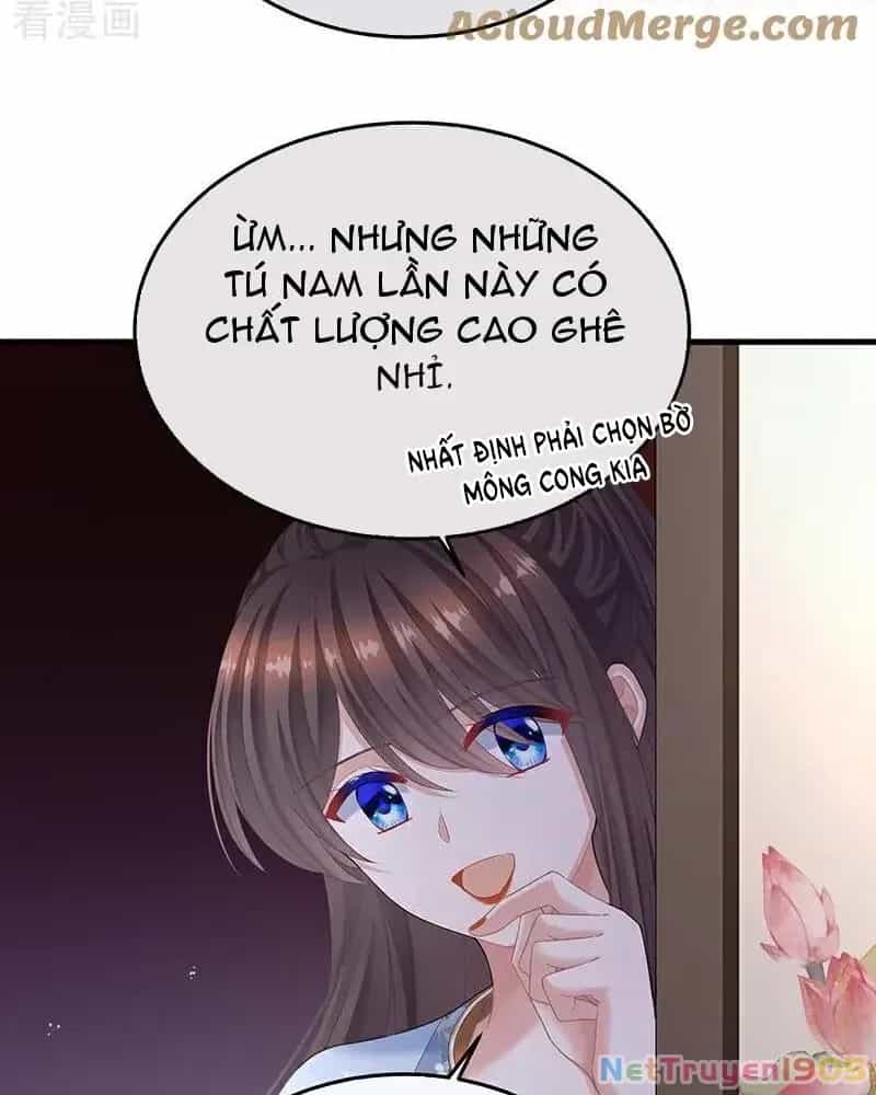 Hậu Cung Của Nữ Đế - Chương 395 - ảnh 8