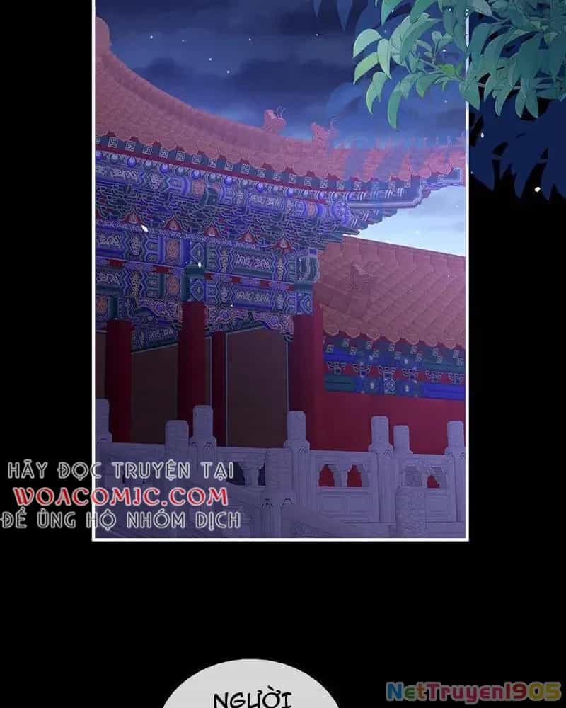 Hậu Cung Của Nữ Đế - Chương 408 - ảnh 25