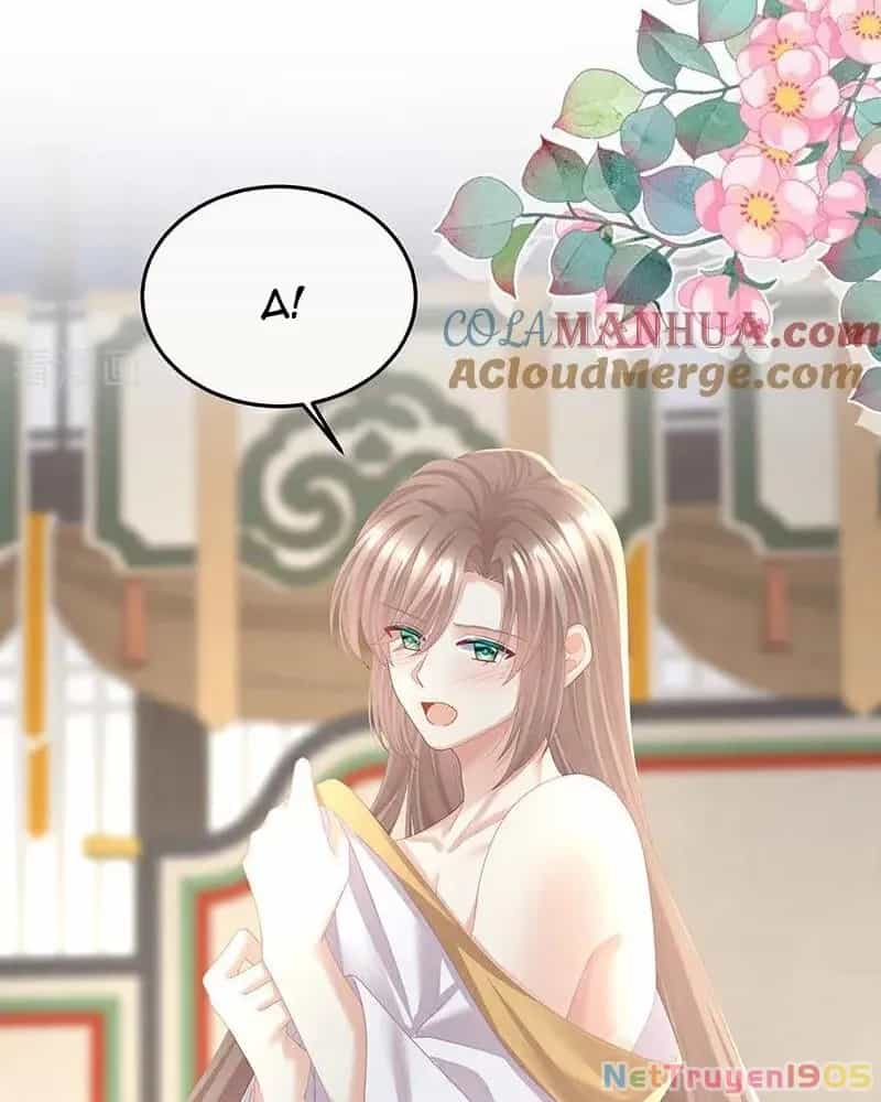 Hậu Cung Của Nữ Đế - Chương 428 - ảnh 2