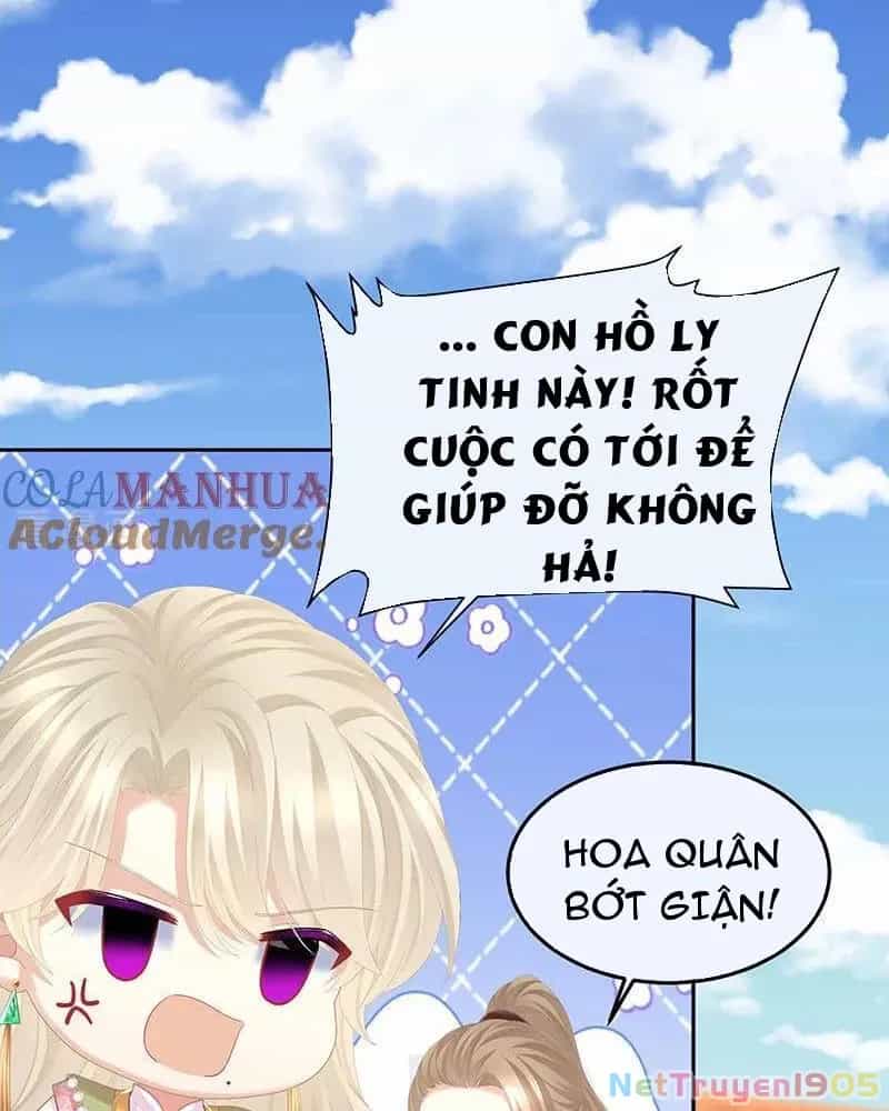Hậu Cung Của Nữ Đế - Chương 443 - ảnh 51