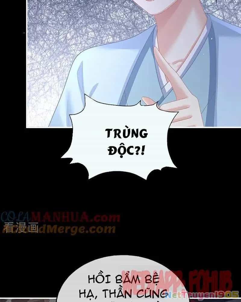 Hậu Cung Của Nữ Đế - Chương 446 - ảnh 10