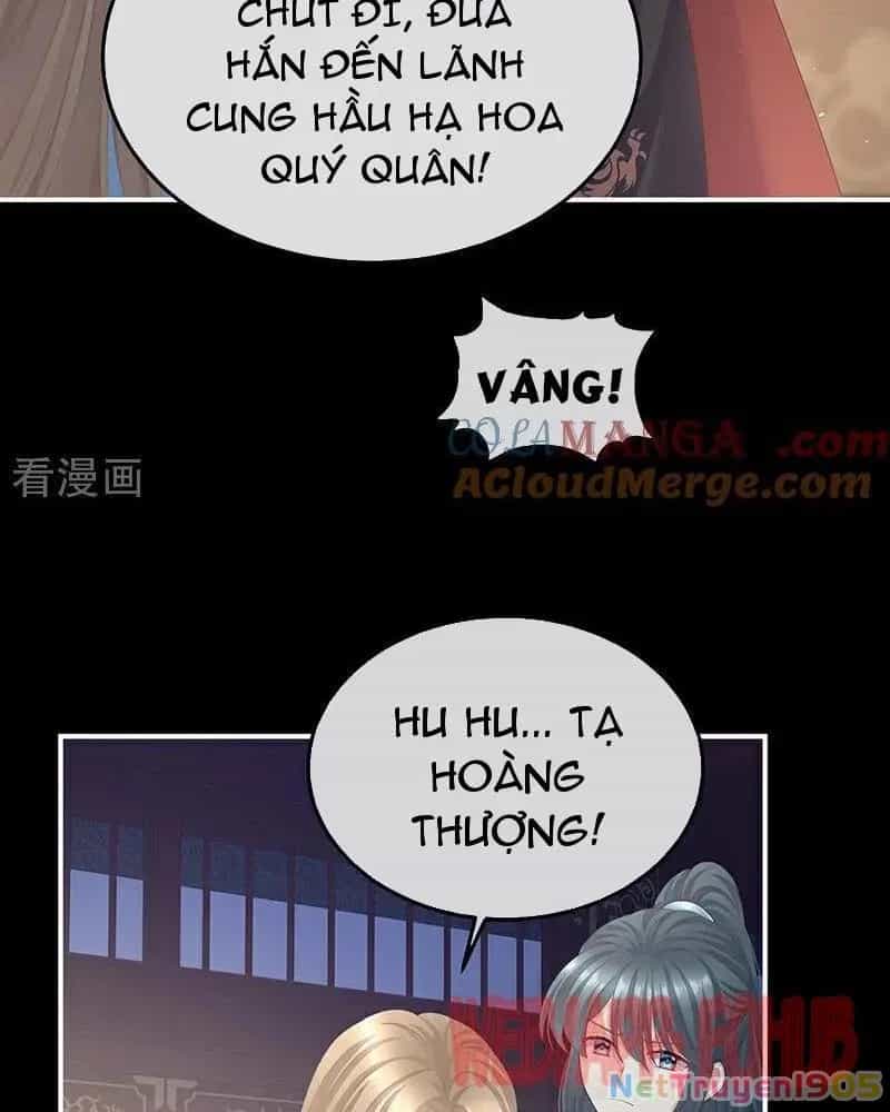Hậu Cung Của Nữ Đế - Chương 453 - ảnh 52
