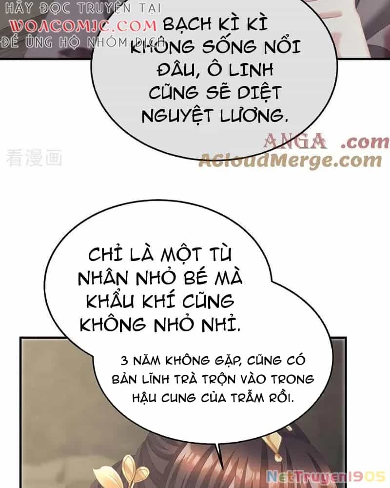 Hậu Cung Của Nữ Đế - Chương 476 - ảnh 12