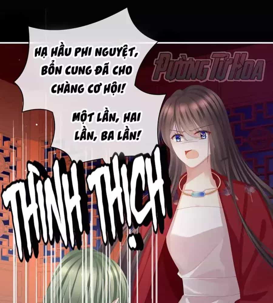 Hậu Cung Của Nữ Đế - Chương 76 - ảnh 87