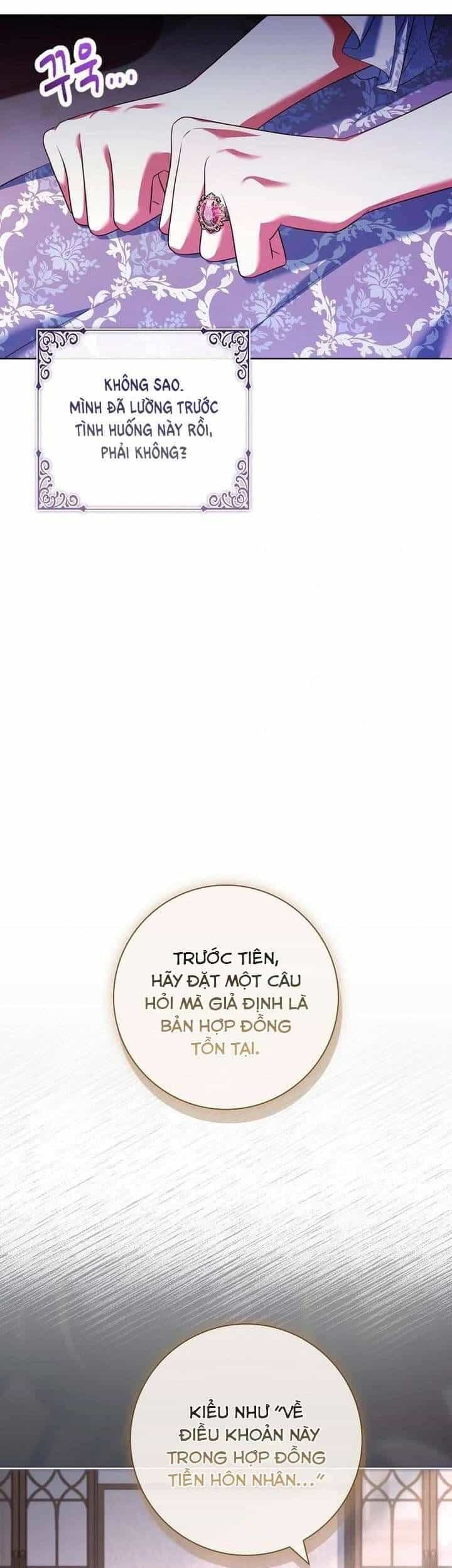 Hãy Để Luật Sư Chuyên Nghiệp Lo Chuyện Ly Hôn - Chương 4 - ảnh 13