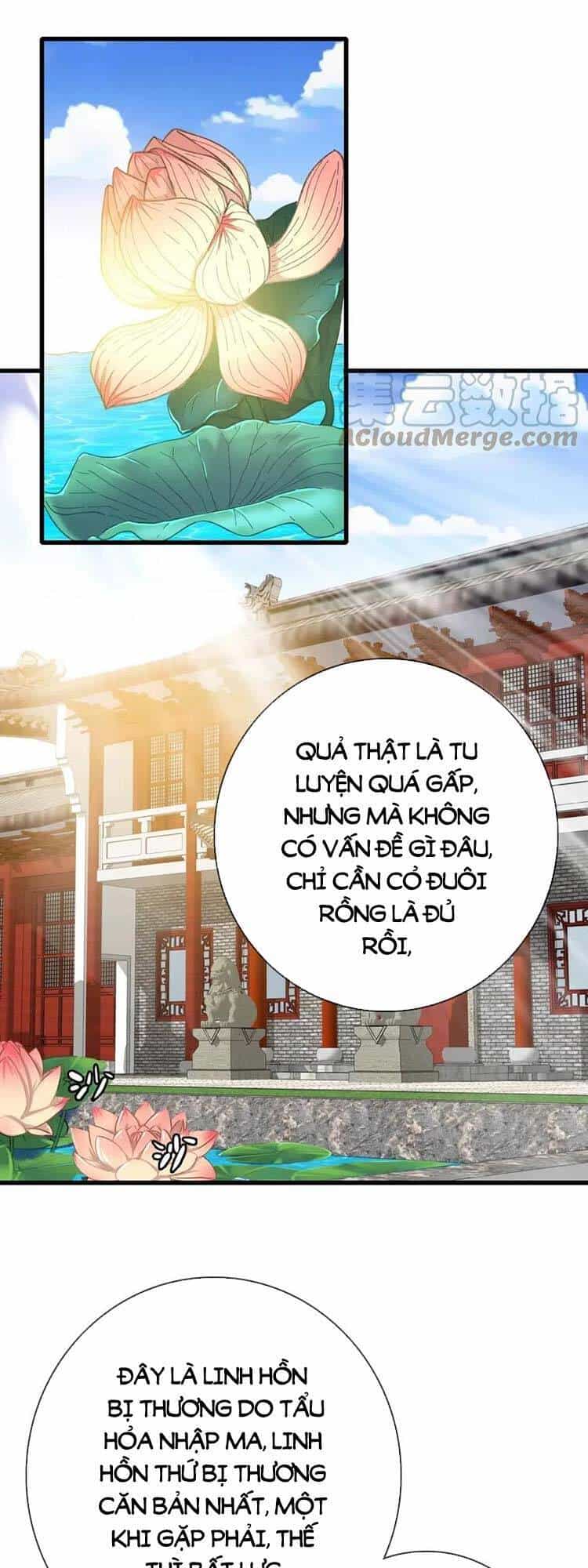 Hệ Thống Thăng Cấp Điên Cuồng - Chương 29 - ảnh 1