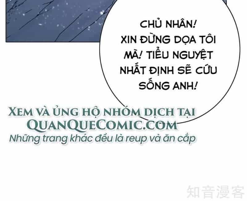 Hệ Thống Tiên Tôn Tại Đô Thị - Chương 105 - ảnh 62