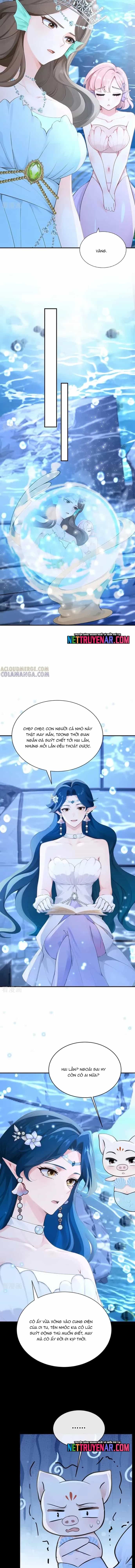 Hệ Thống Xuyên Nhanh: Ác Nam Không Dễ Chọc - Chương 245 - ảnh 6