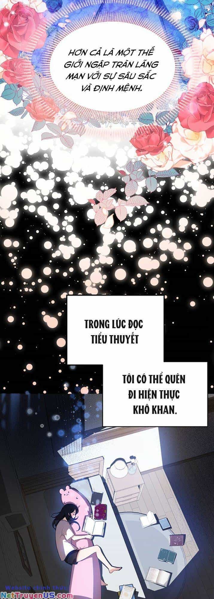 Hình Như Tôi Đã Xuyên Vào Cuốn Tiểu Thuyết Nào Đó - Chương 1 - ảnh 6