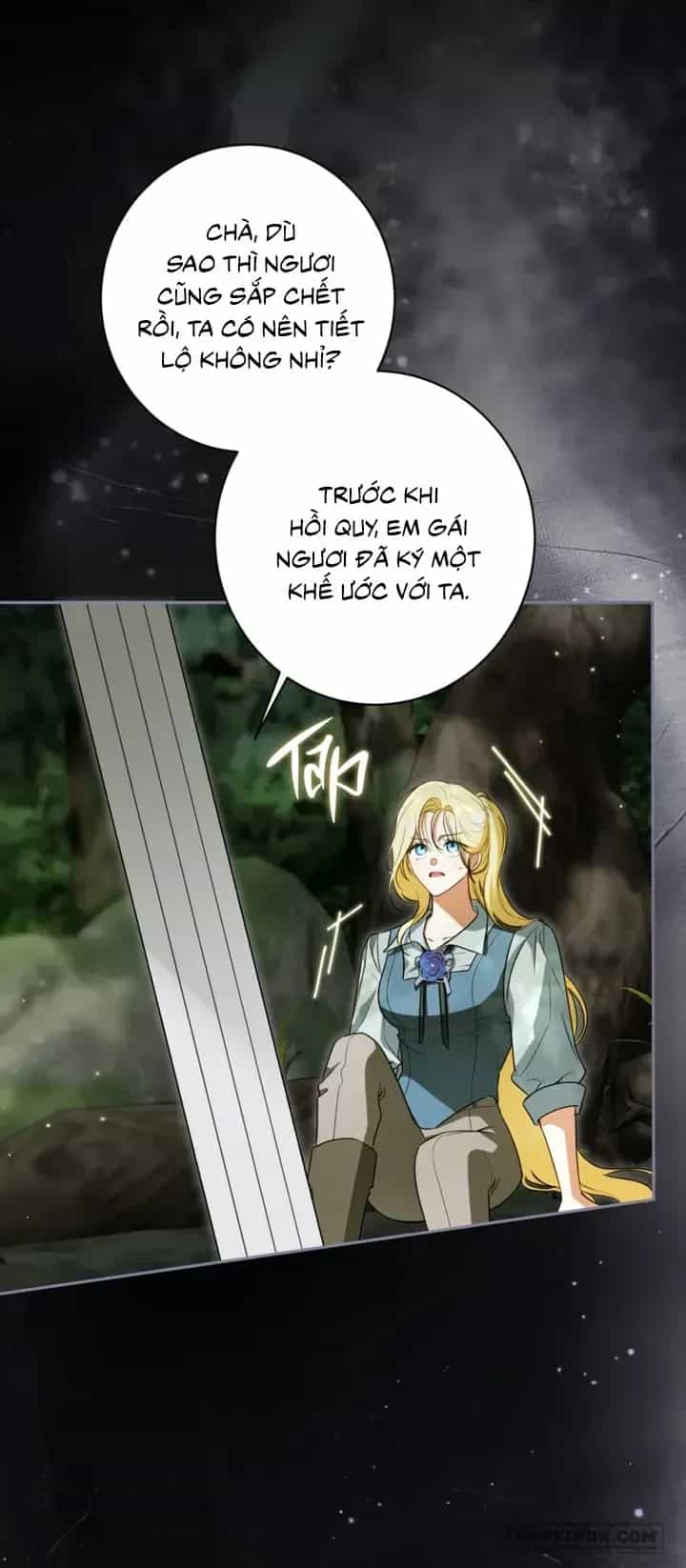 Hình Như Tôi Đã Xuyên Vào Cuốn Tiểu Thuyết Nào Đó - Chương 93 - ảnh 12