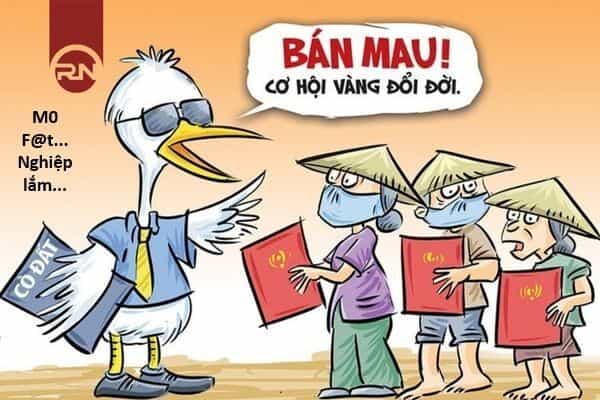 Hổ Đến Chơi Nhà - Chương 165 - ảnh 8