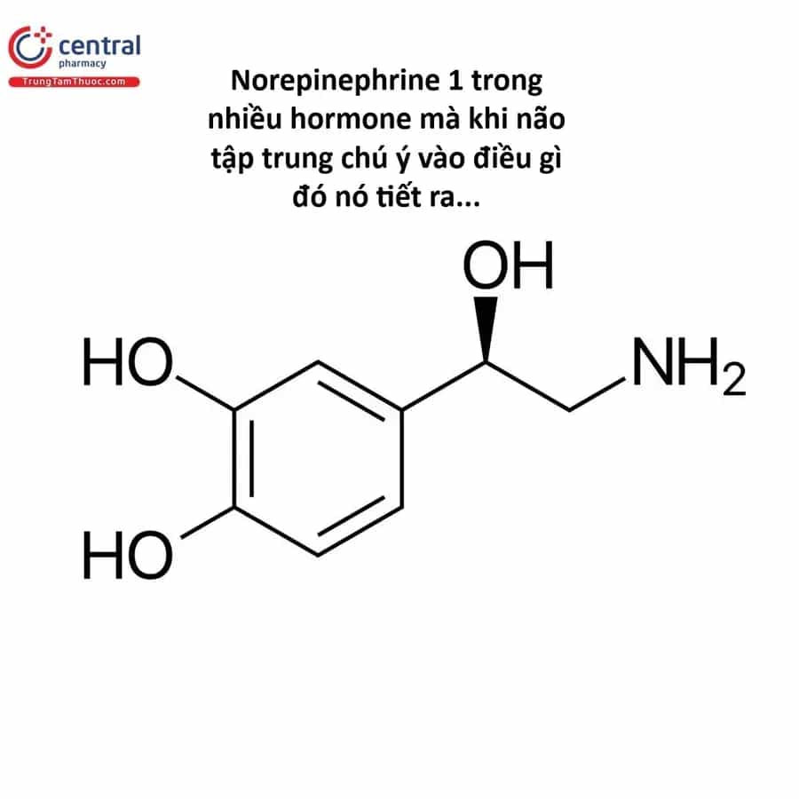Hổ Đến Chơi Nhà - Chương 176 - ảnh 7