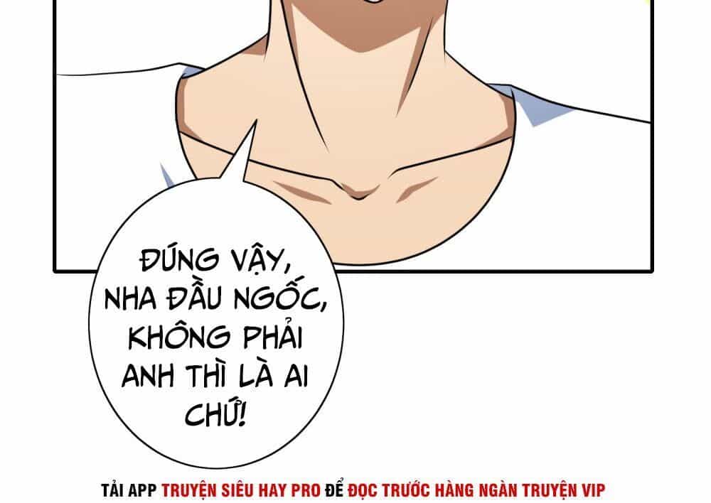 Hộ Hoa Cao Thủ Tại Đô Thị - Chương 115 - ảnh 26