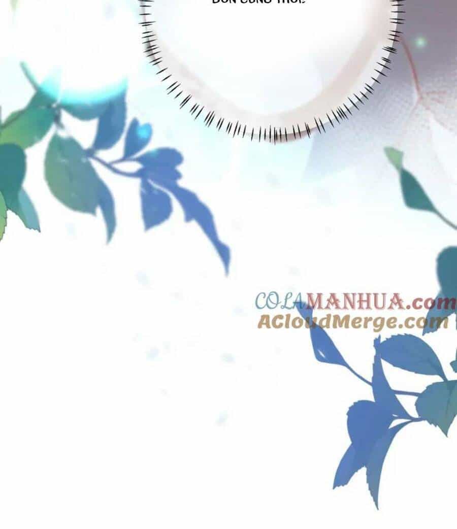 Hồ Ly Cáo Già Và Bạch Liên Hoa Cao Lãnh , Ai Sẽ Lộ Tẩy Trước Đây? - Chương 16 - ảnh 32