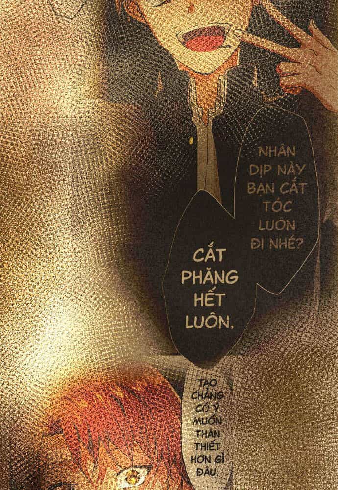 Hoa Cánh Sao - Chương 115 - ảnh 14
