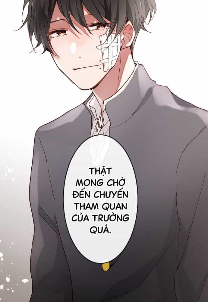 Hoa Cánh Sao - Chương 115 - ảnh 60
