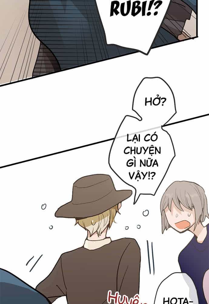 Hoa Cánh Sao - Chương 71 - ảnh 13