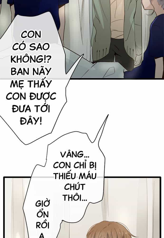Hoa Cánh Sao - Chương 72 - ảnh 29
