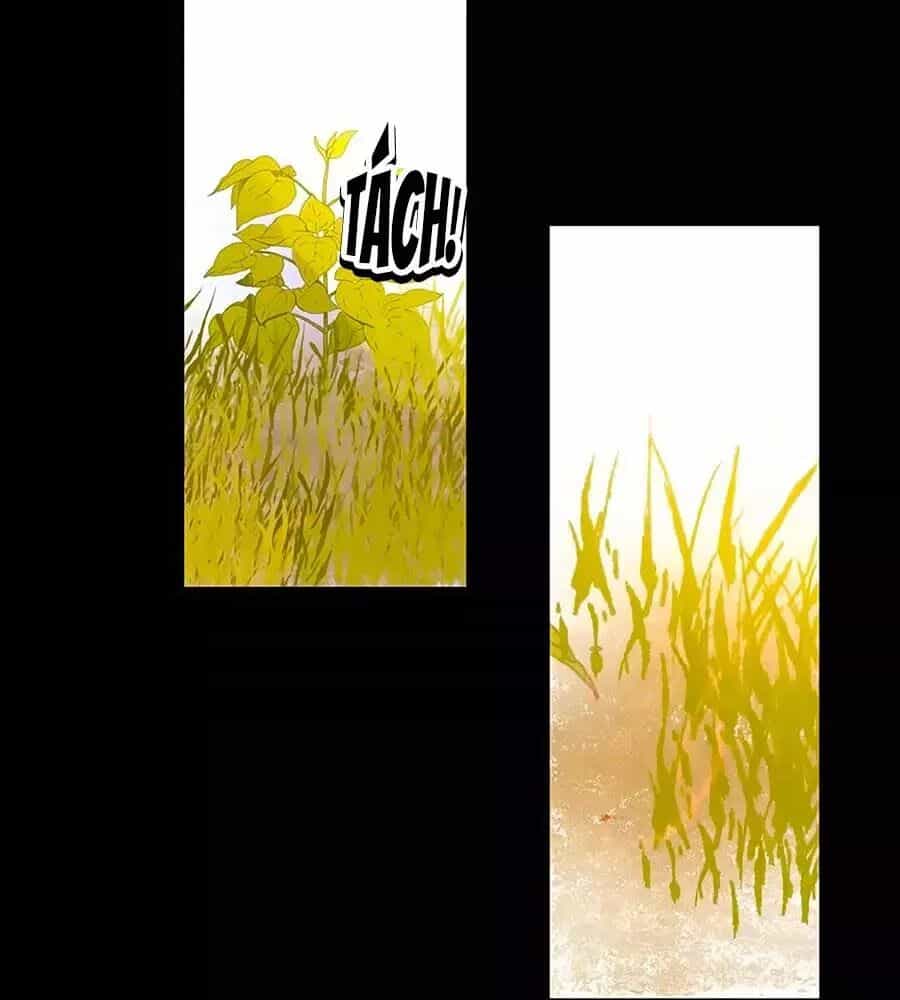 Hoa Chưa Nở Rộ - Chương 20 - ảnh 23