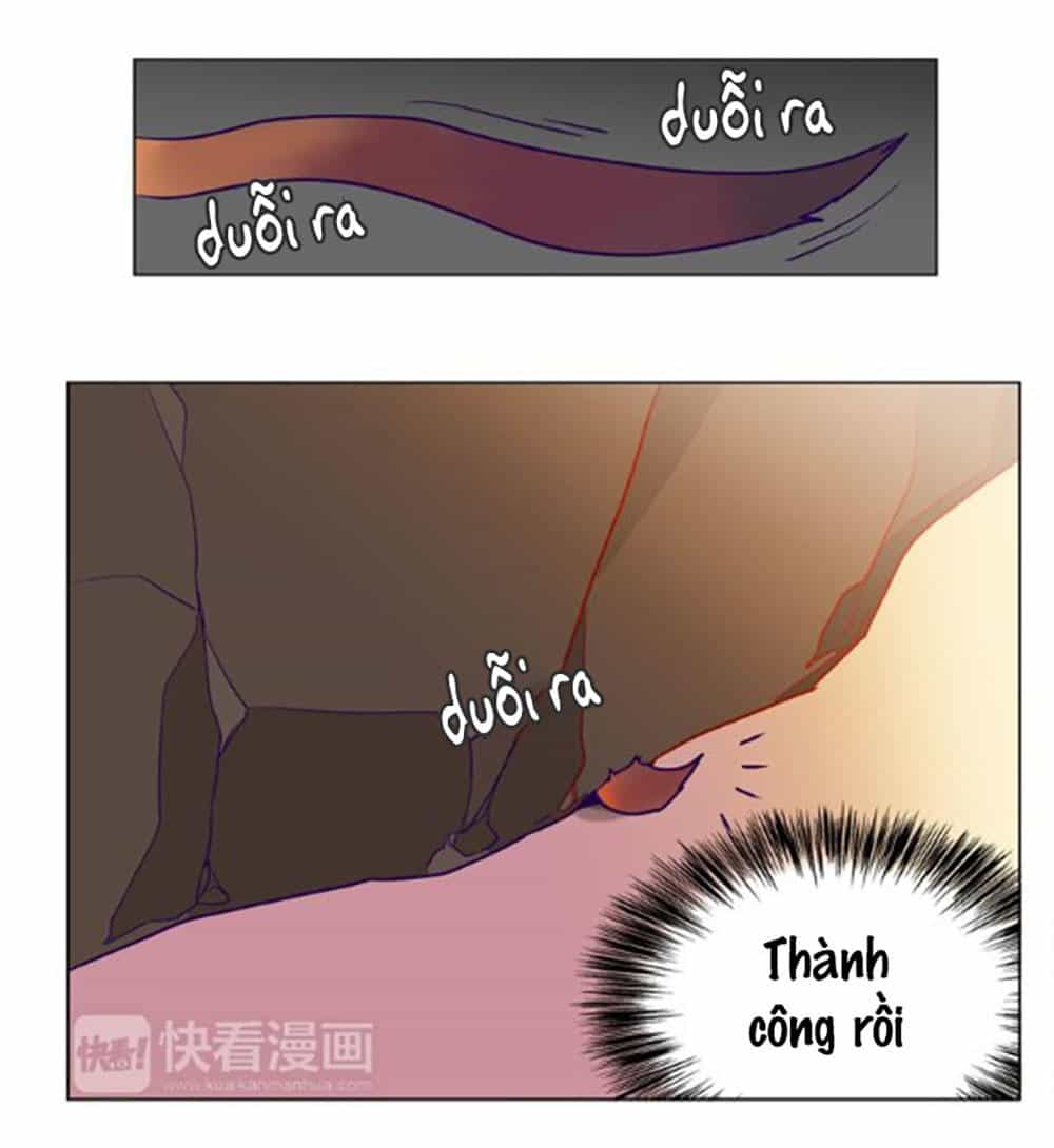 Hoa Đạo Sĩ - Chương 6 - ảnh 14
