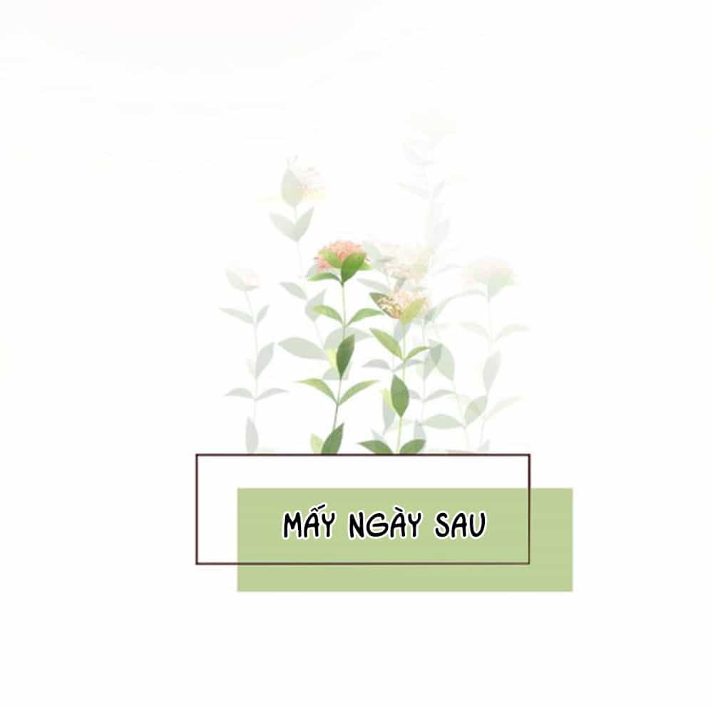 Hoa Dữ Ẩn Nặc Chi Ô - Chương 39 - ảnh 15