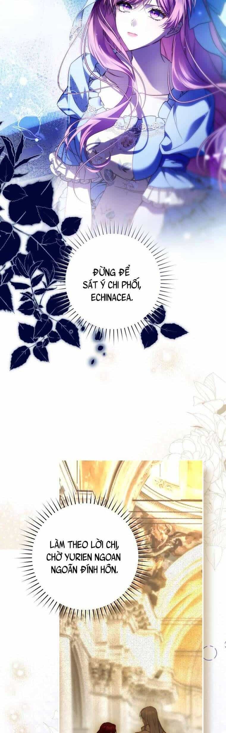 Hoa Giương Kiếm - Chương 33 - ảnh 37