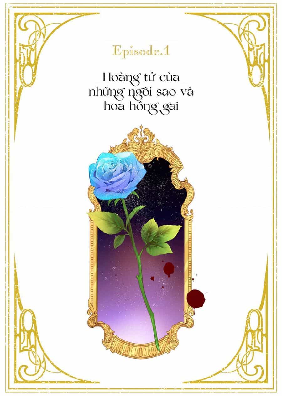 Hoa Hồng Ẩn Giấu Sao Băng - Chuong 1 - ảnh 2