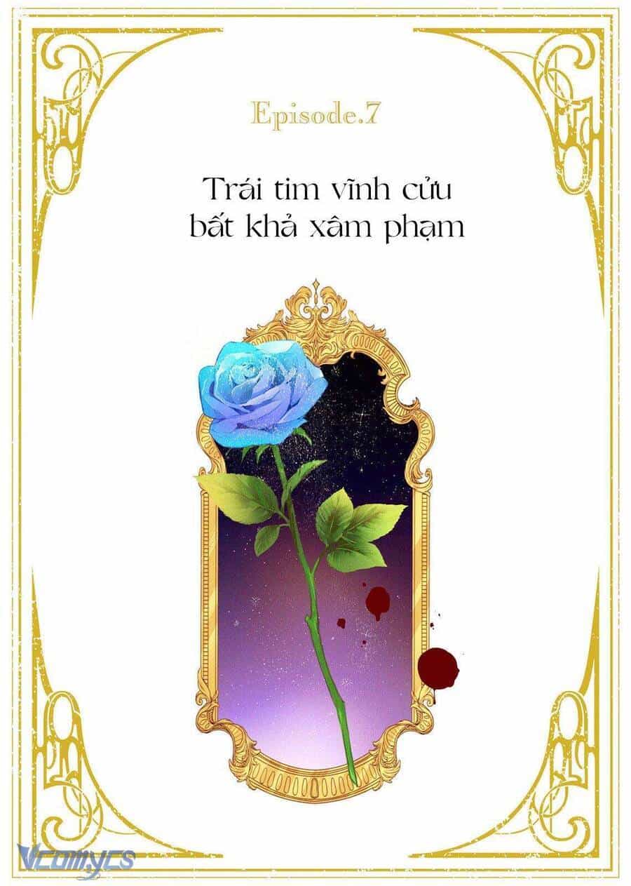 Hoa Hồng Ẩn Giấu Sao Băng - Chương 7 - ảnh 3